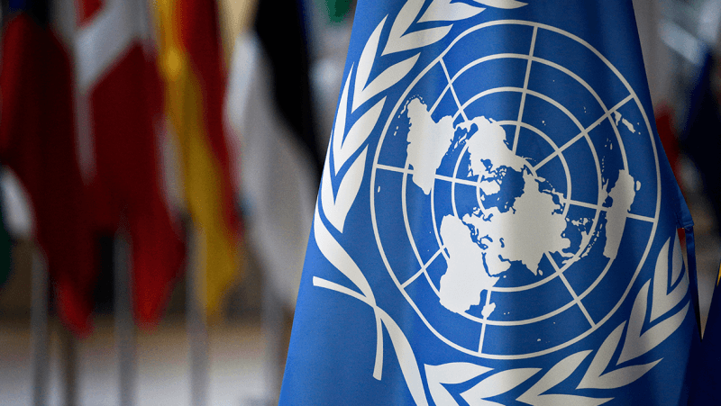 Foto de capa 2025 Designado Como O Ano Internacional Das Cooperativas Pela ONU